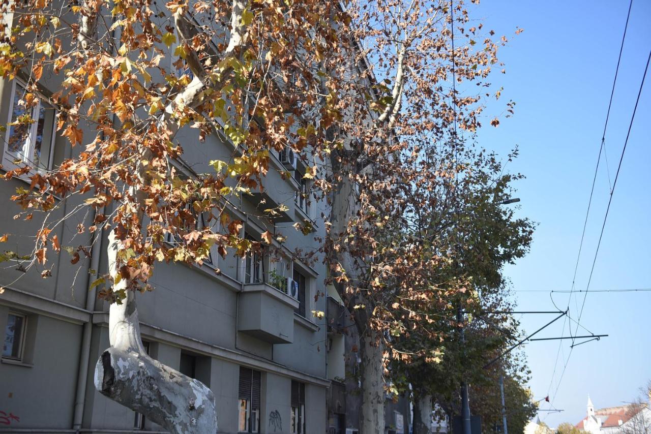 Friendly Home Apartment Belgrado Exterior foto